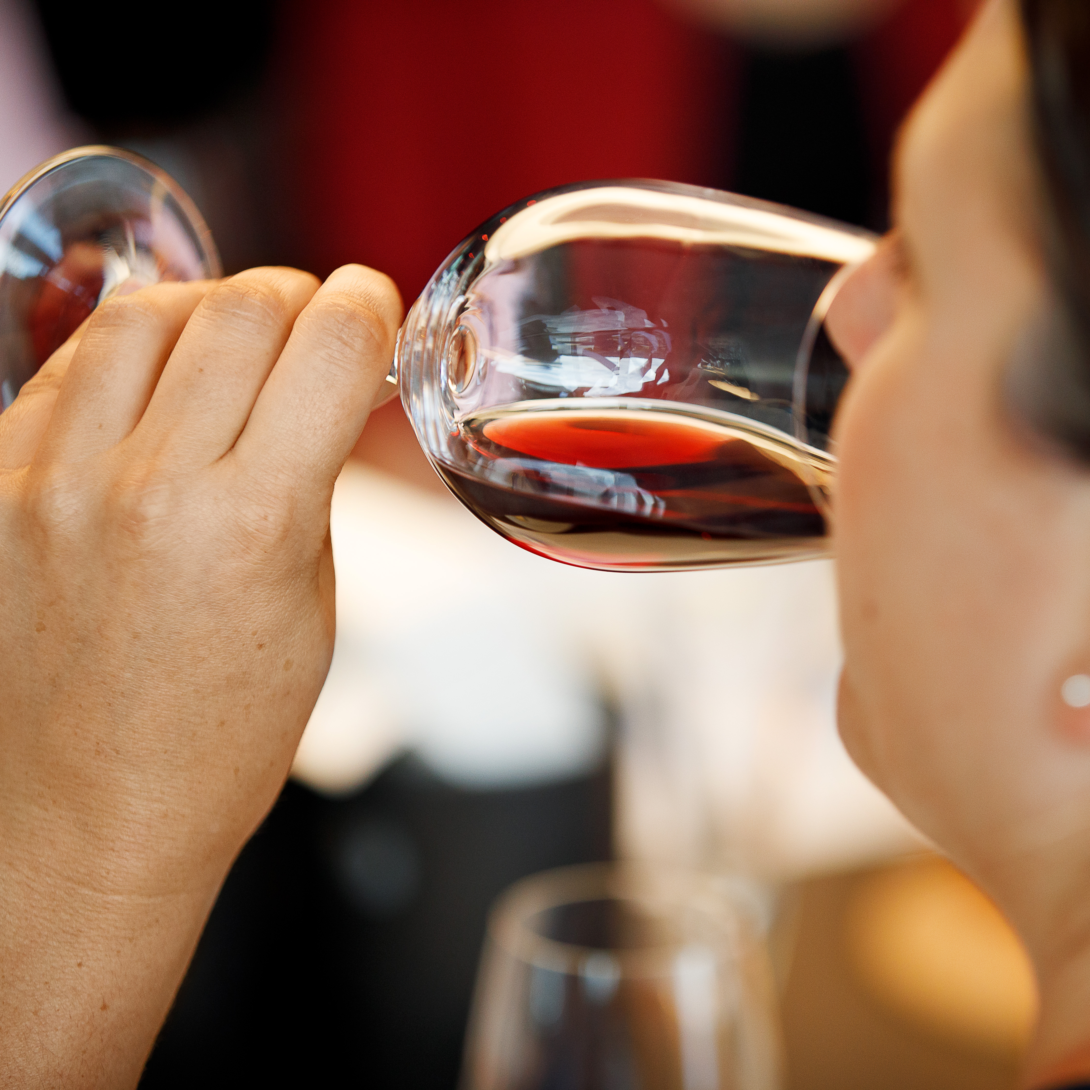 hauser&partner Wine&Dine